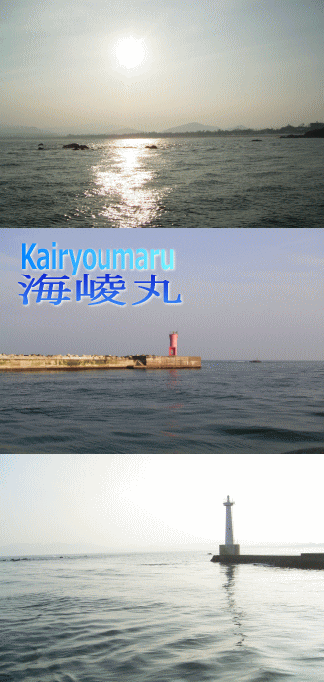4.gif
