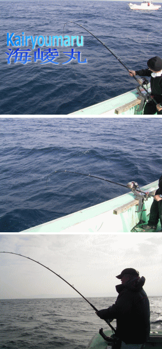 8.gif
