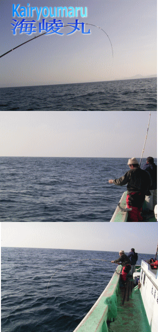 11.gif