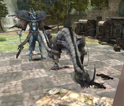 capture_00206.jpg