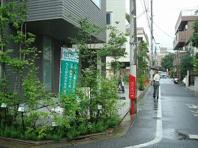 祐天寺の植栽