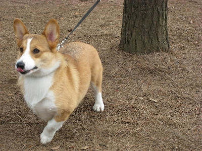 ぽろちゃん♪