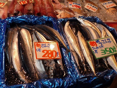 新さんま