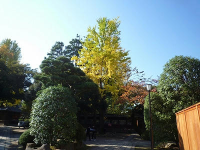 紅葉