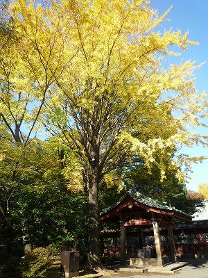 すっかり秋
