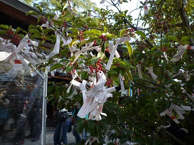 布忍神社のおみくじとは・・
