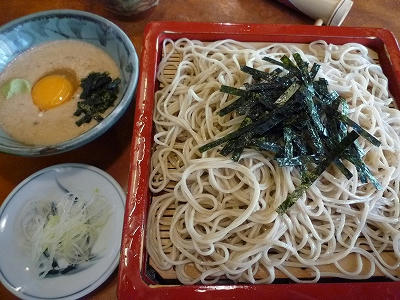 P1060336.jpg