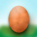 egg.jpg