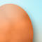 egg-icon1.jpg
