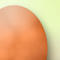 egg-icon2.jpg