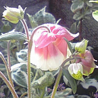 5fb0757djpeg