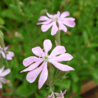 6d24672ajpeg
