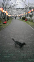 DVC00049.JPG