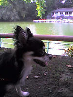 公園