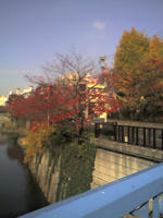 目黒川