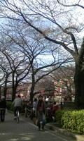 週末
