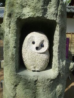 20120402_135303.jpg