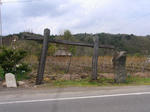 RIMG0609.JPG