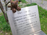 RIMG0597.JPG