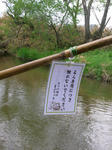 RIMG0617.JPG