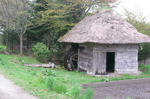 RIMG0633.JPG