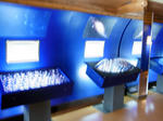 RIMG0695.jpg