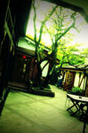 FxCam_1336549634383.jpg
