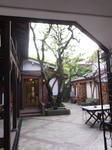 RIMG0769.JPG
