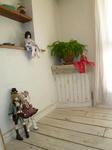 P1000592.JPG