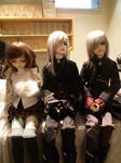 P1020137.JPG