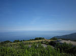 IMG_0686.jpg