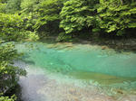 IMG_1538.jpg