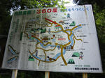 IMG_1545.jpg