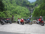 IMG_1552.jpg