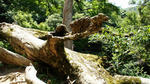 DSC02066.JPG