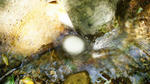 DSC02236.JPG