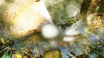 DSC02238.JPG