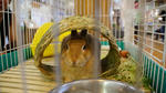 DSC02560.JPG