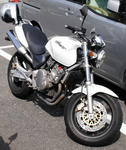 931f517e.JPG