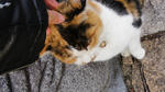 DSC03210.jpg
