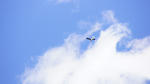 DSC04126.jpg