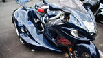 DSC04223.jpg
