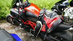 DSC04236.jpg