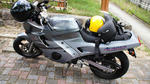 DSC04238.jpg