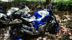 DSC04131.jpg