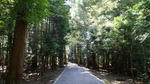 DSC04490.jpg