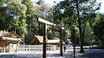 DSC04501.jpg