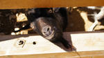 DSC04541.jpg