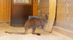 DSC04601.jpg
