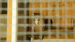 DSC04626.jpg